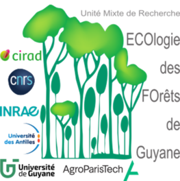 Logo UMR EcoFoG